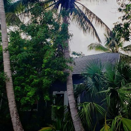 Old Cottage House ไมอามี ภายนอก รูปภาพ