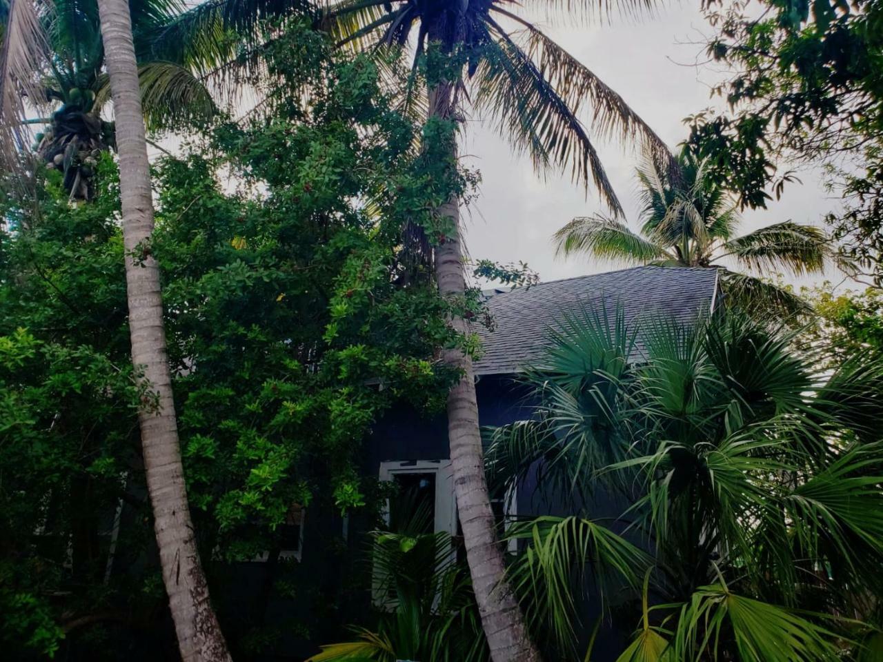 Old Cottage House ไมอามี ภายนอก รูปภาพ